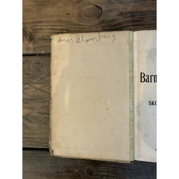 Vintage c1900 Swedish ABC Book Barnens Första Bok Skolan & Hemmet Rock Island IL - Picture 5 of 6